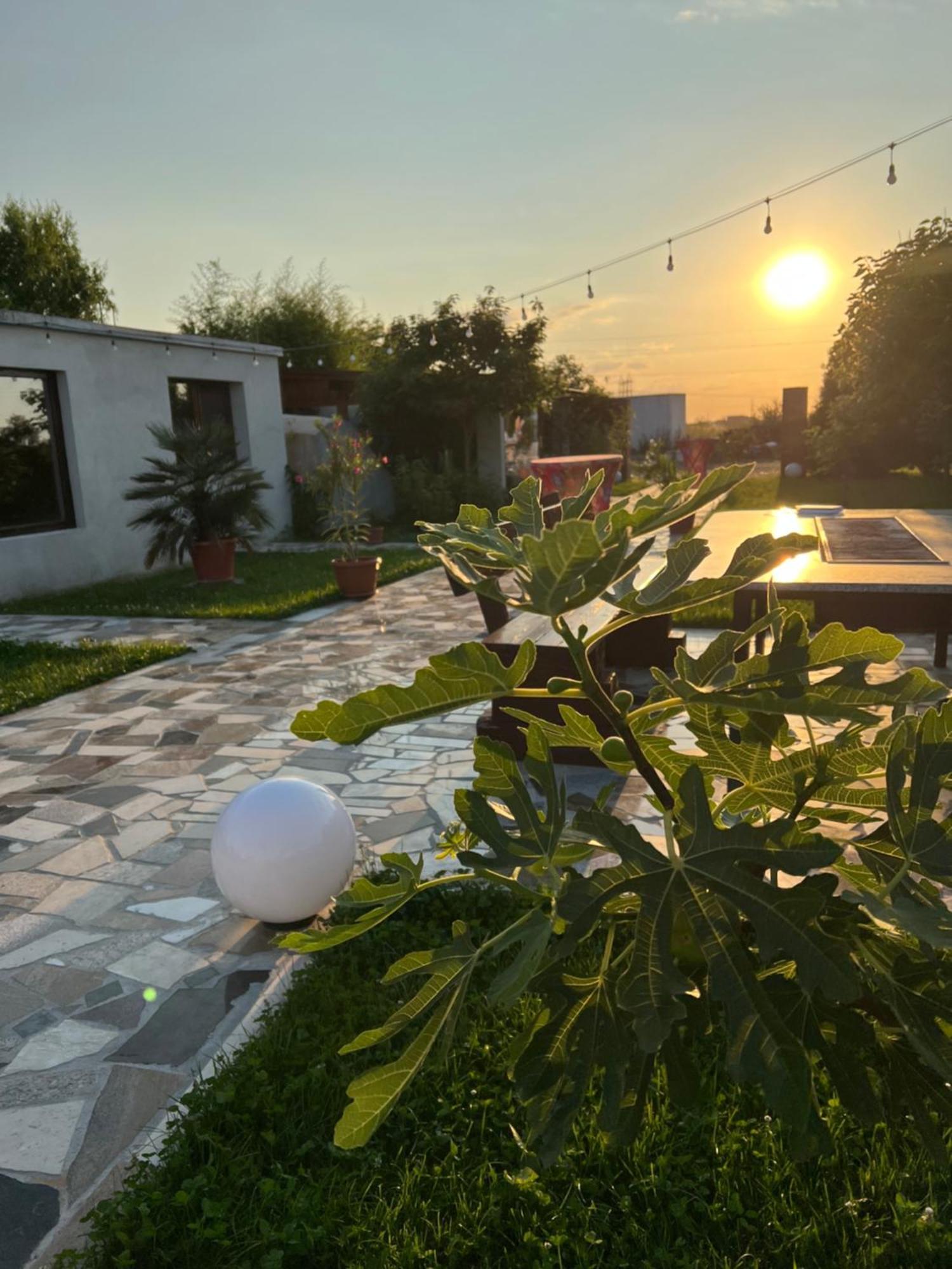 La Casa Blanca Apartment Vladimirescu Ngoại thất bức ảnh